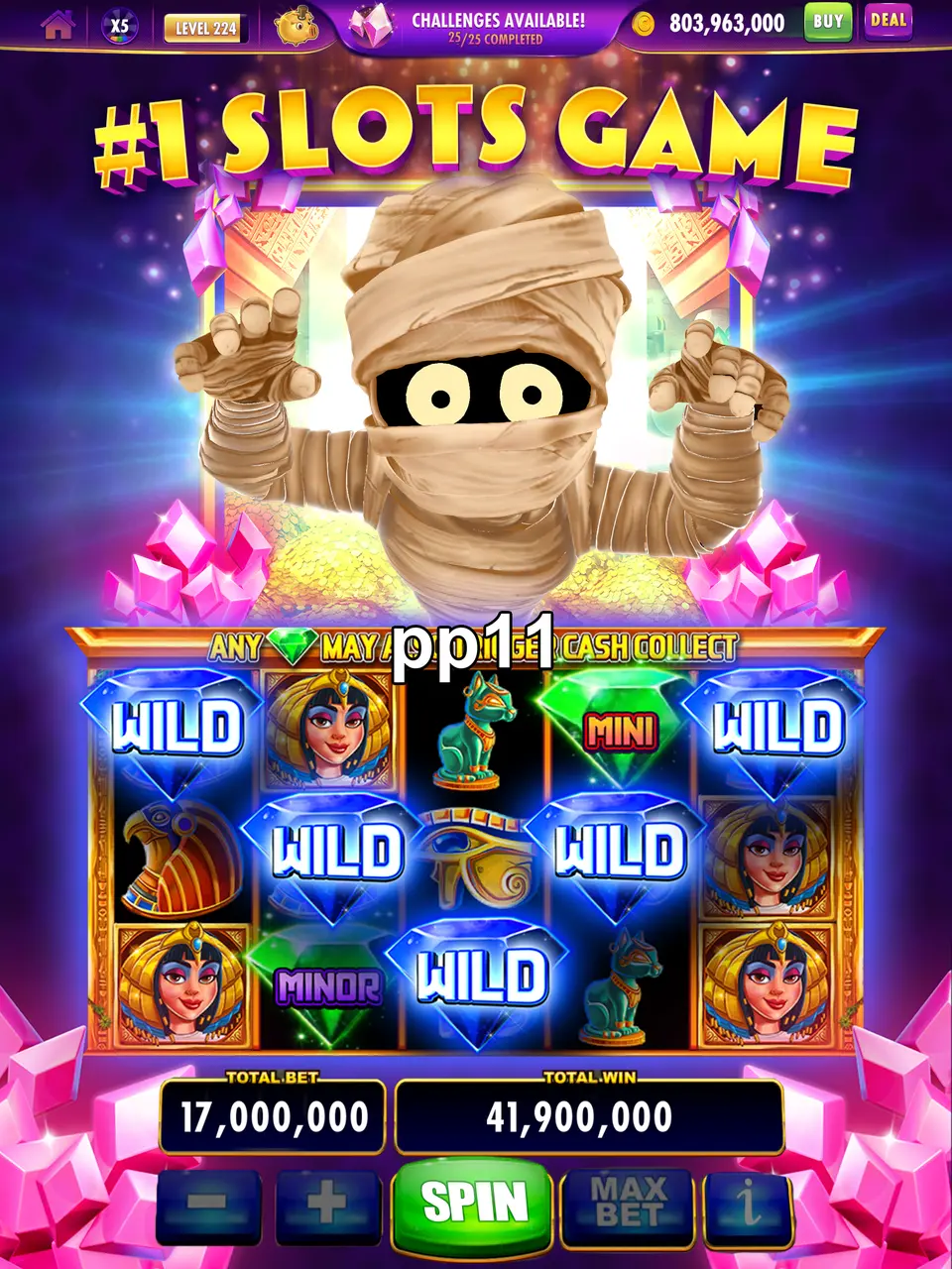 pp11 APK
