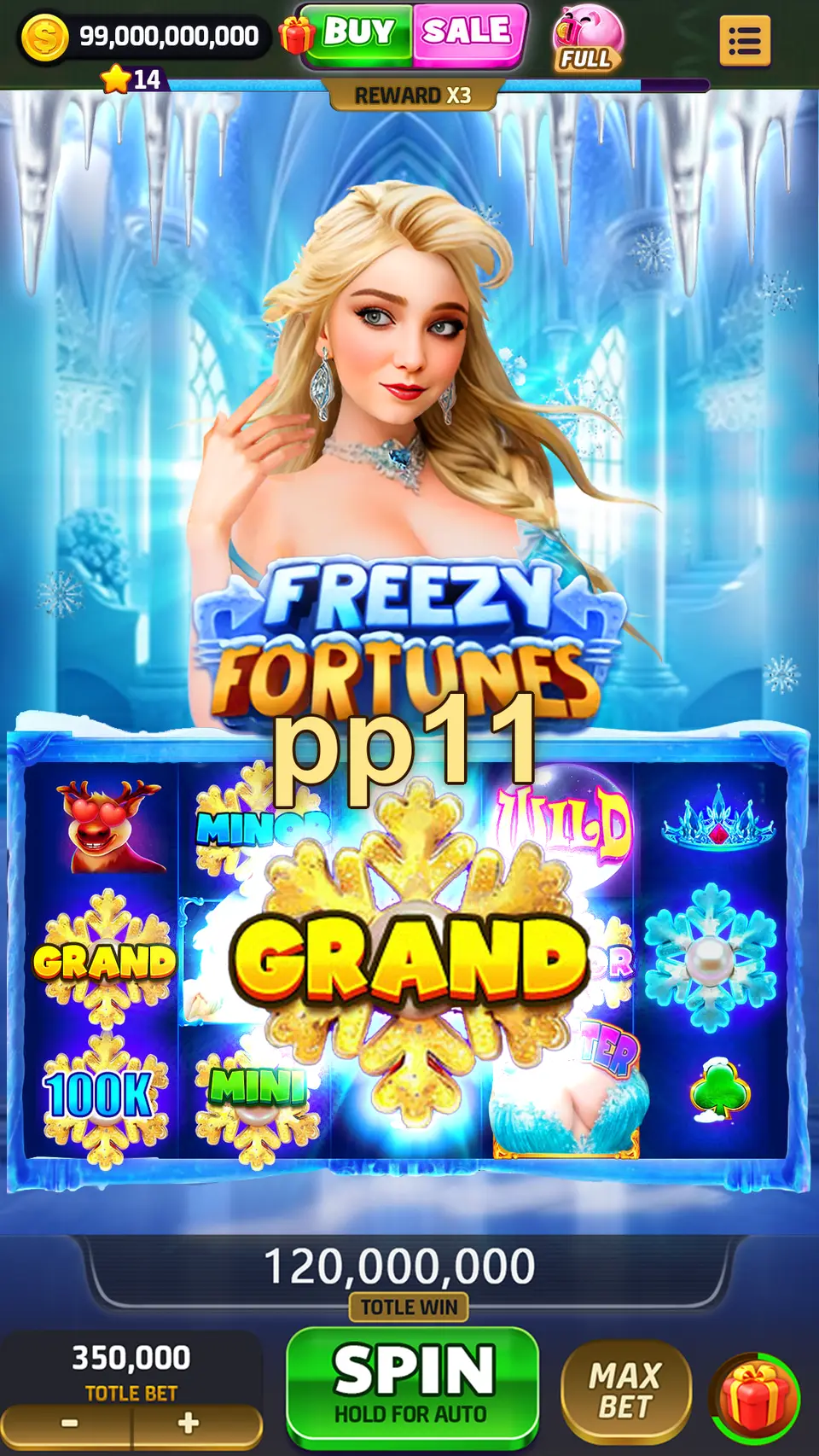 pp11 Login
